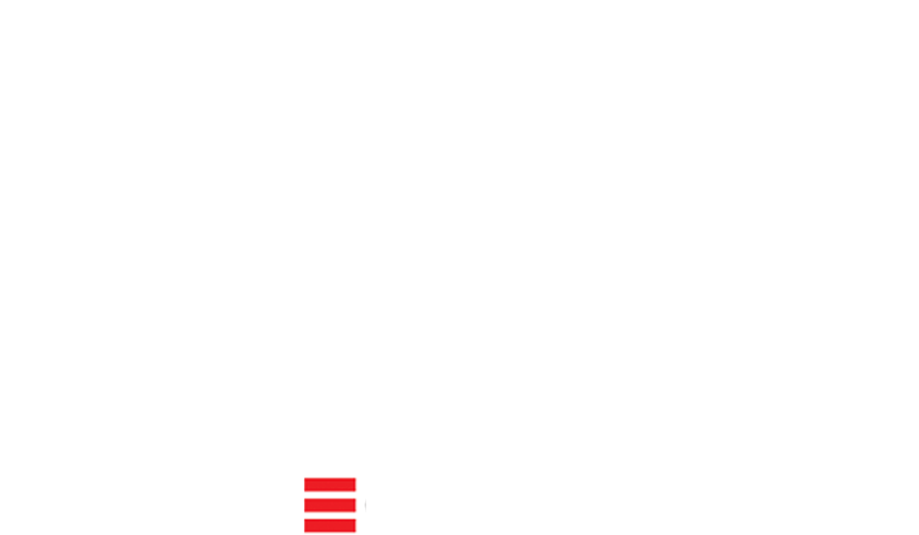 bfsi logo