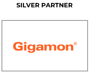 gigamon